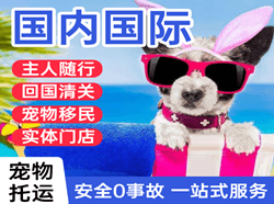 盐城空运代理国际宠物托运 【国